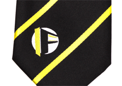 School ties with embroidered logo